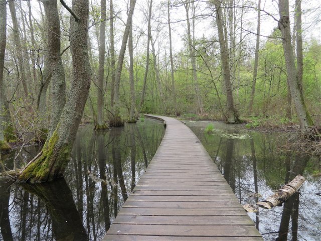 Tillgänglig slinga runt Kyrksjön