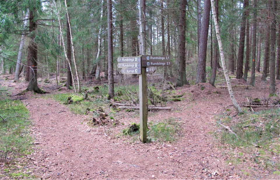 En rundslinga tar dig genom reservatet.