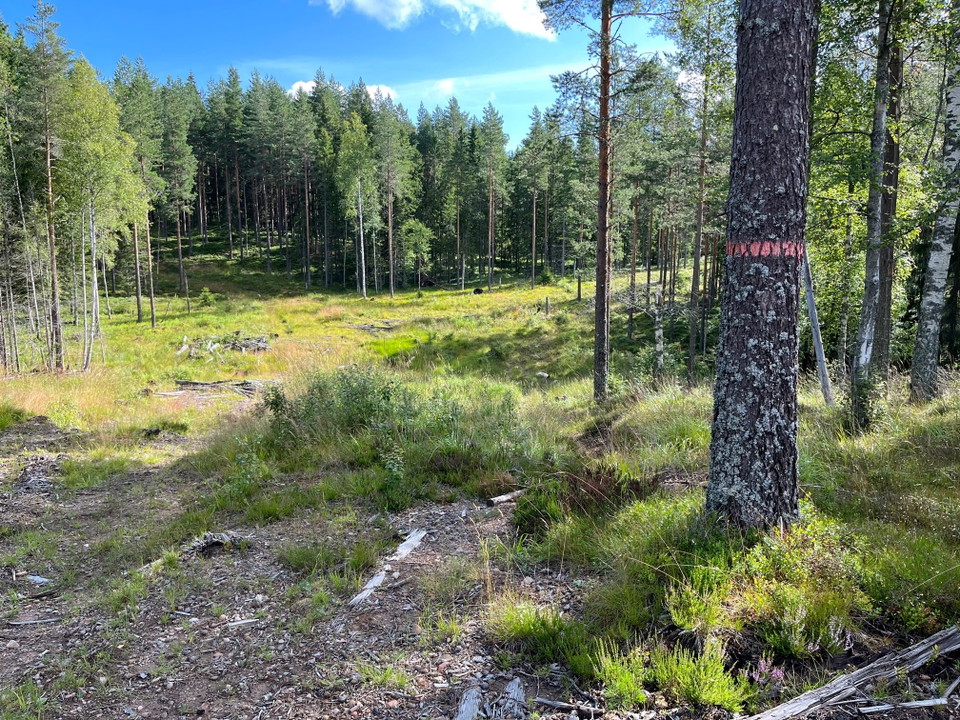 Svag markering längs med vandringsleden
