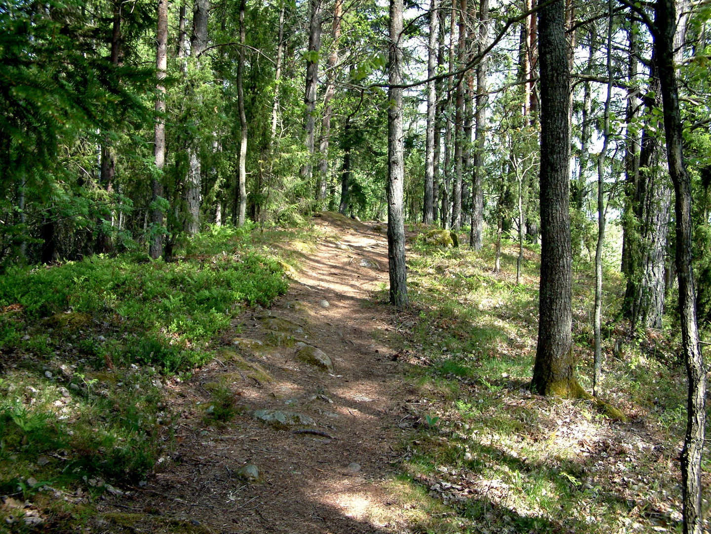 En smal och låg rullstensås vid ledens början bildar näset mellan Rostockasjön i öster och Lyckebyån – Grimmansmålasjön i väster (G. Knutsson 2008).