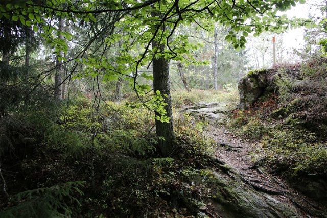 Blekingeleden Trail | Ronneby Brunn – Skärsviken