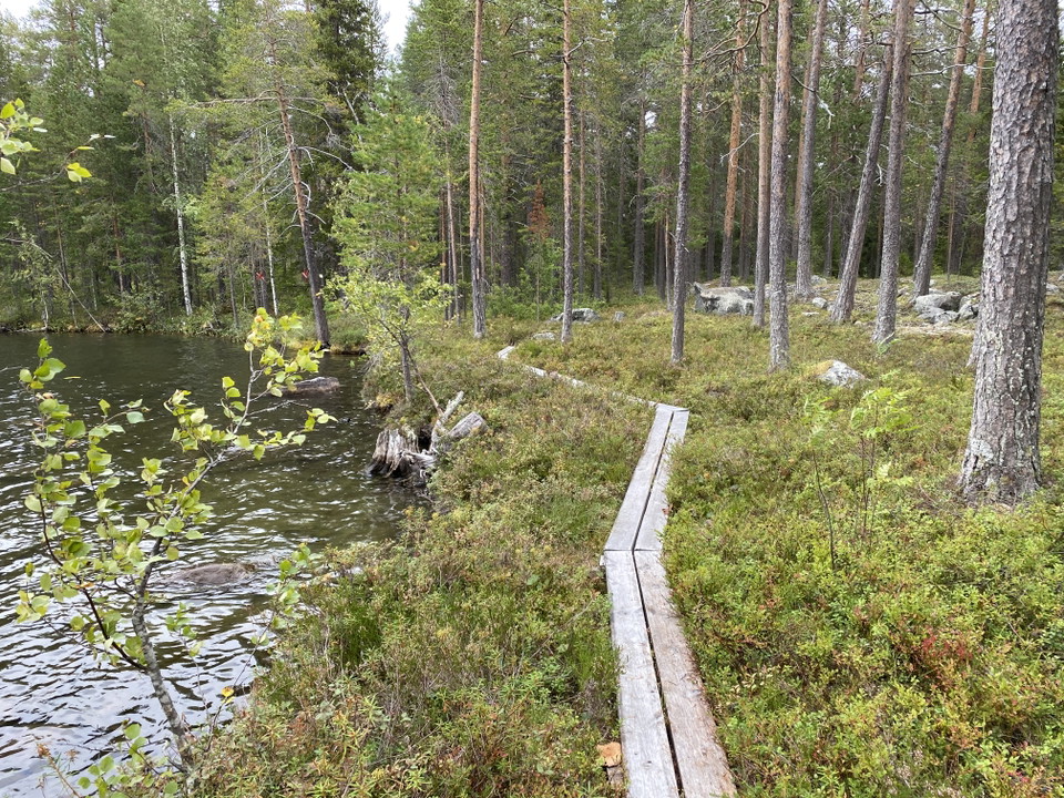 Spångad stig vid sjö.