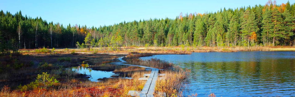 Rundturer för dagsvandringar