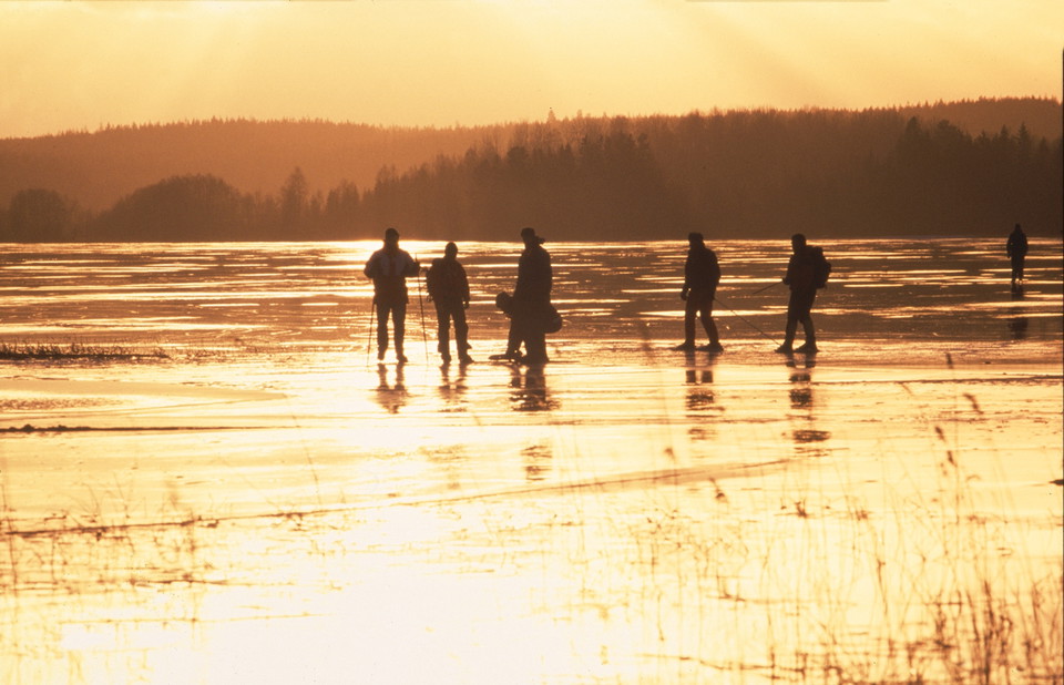 Västeråsfjärdens - Nyis