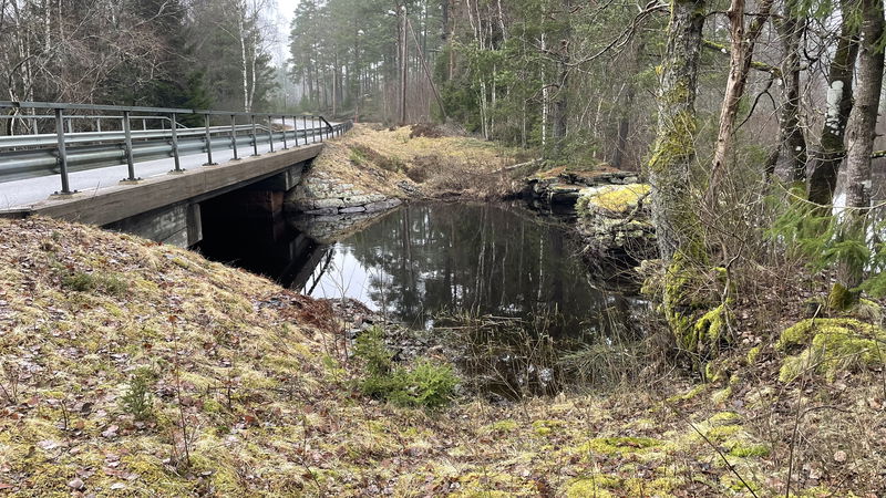 Landfiske, Hären