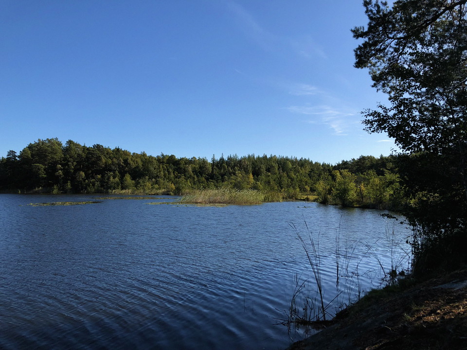Dammstakärret med grön växtlighet runt omkring.