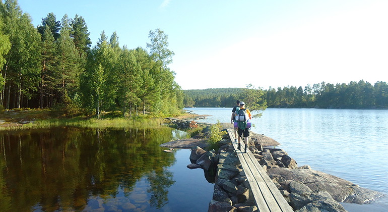 Vandringsstång i Dammarna.