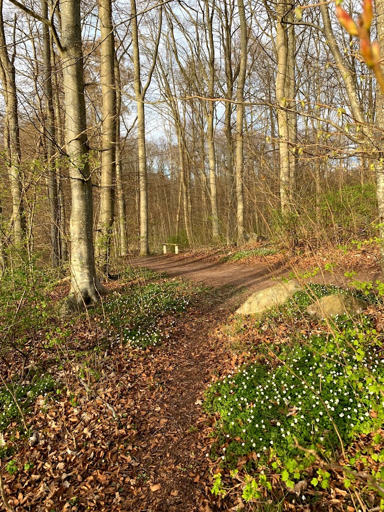 Valje Hälsoväg