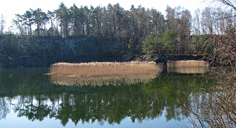 Stenbrottet.
