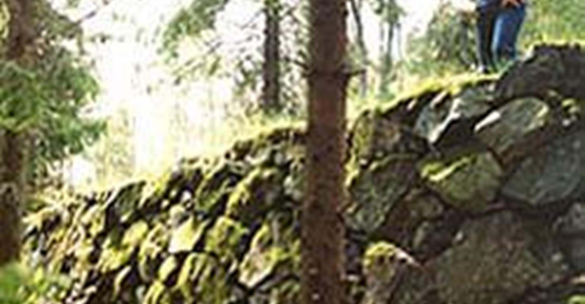 Brantsbo bevattningsanläggning
