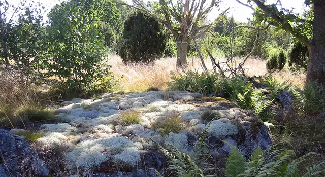 Jordö, Naturreservat