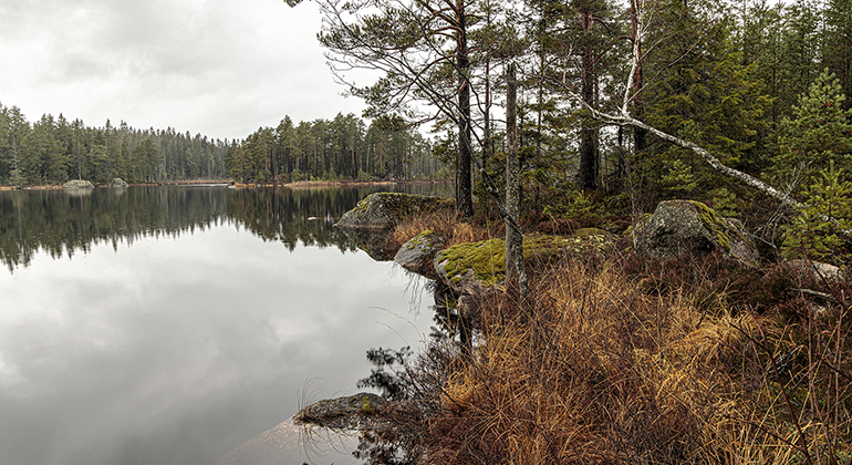 Kroksjön i Kroksjöskogen.