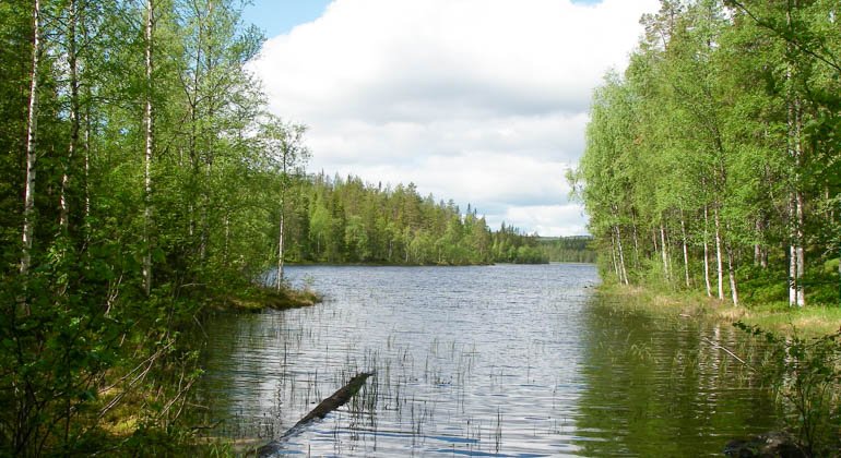 Åttjärnsbodarnas naturreservat.