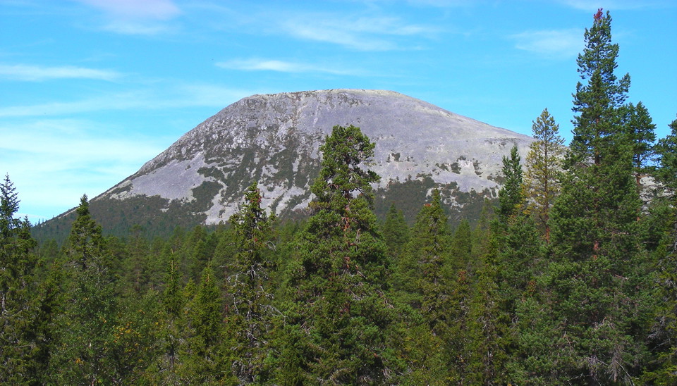 Korpflyet sett från Sveduberget