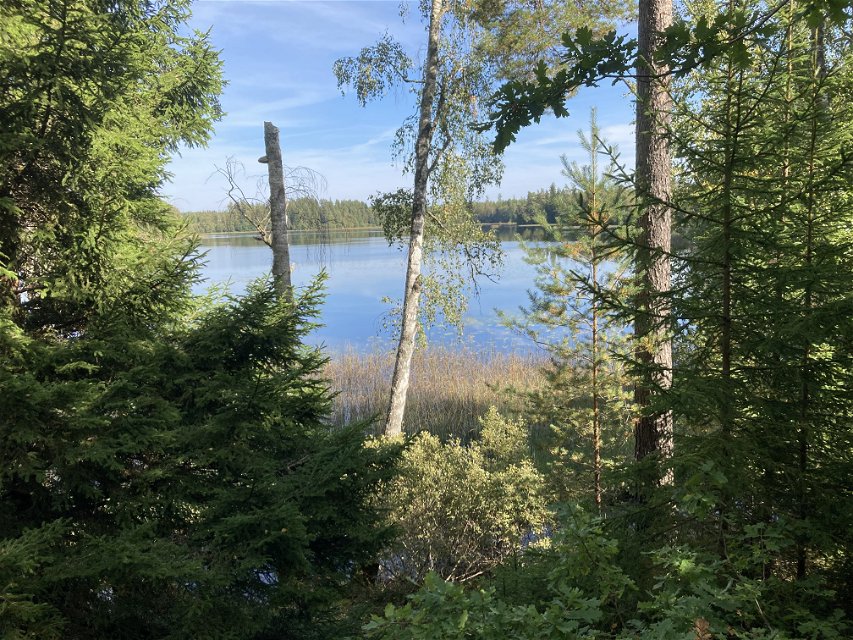 En sjö syns mellan träden