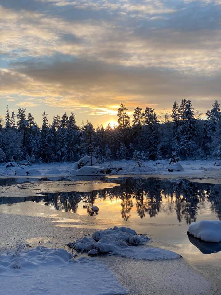 Dammen vid Kvarna är vacker året om.