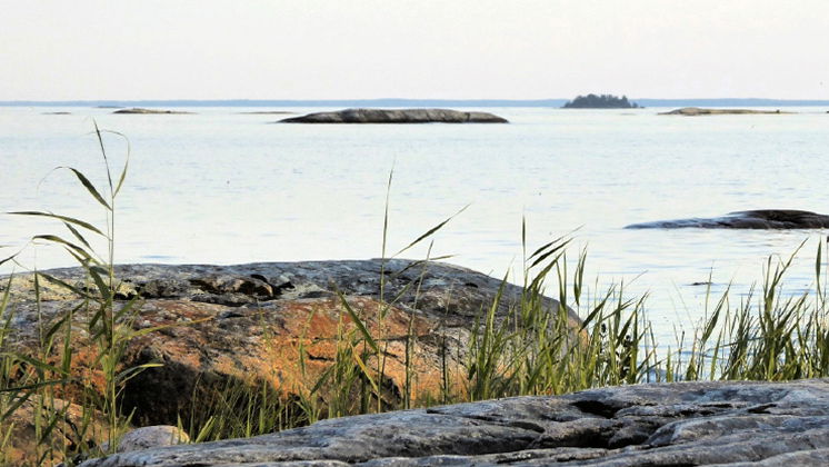 Utsikt över Vänern från strandkanten. 
