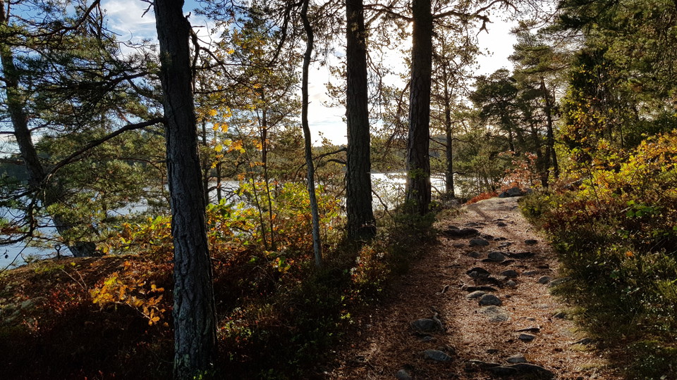 Strandnära stig vid nordöstra Bosön. Foto Lidingö stad