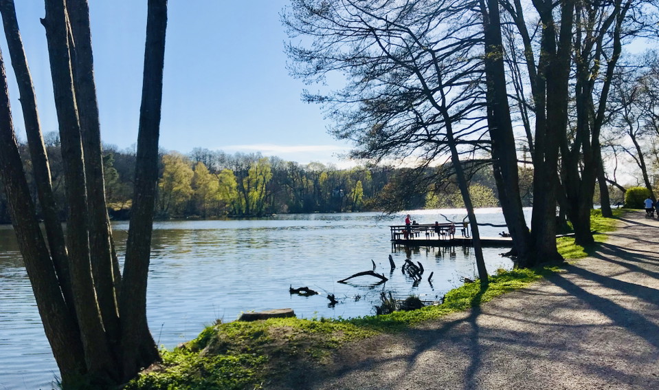 Foto: Sofia Lindgren