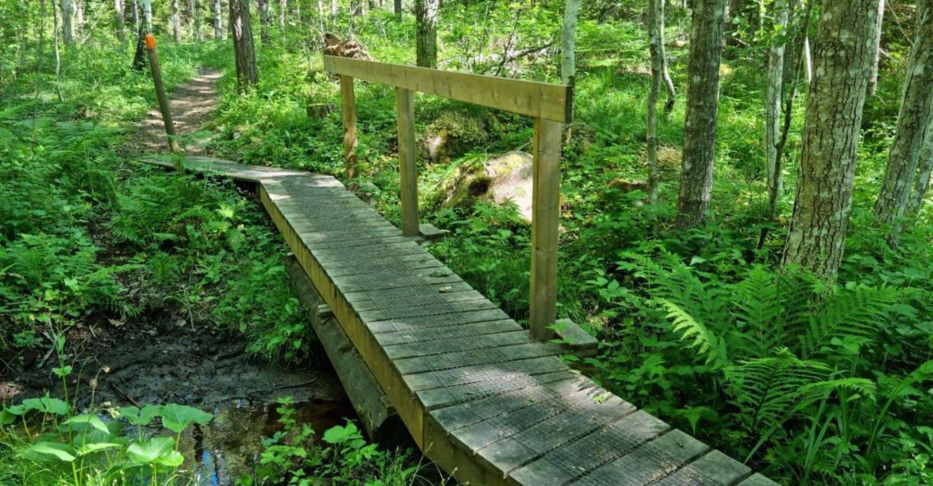 Där leden passerar fuktiga områden finns spänger.
Etapp: Bleckenstad-Lundbyvallen.
Mjölby