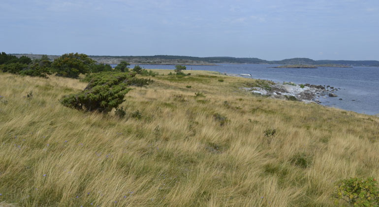 vy från land över hav och klippiga öar
