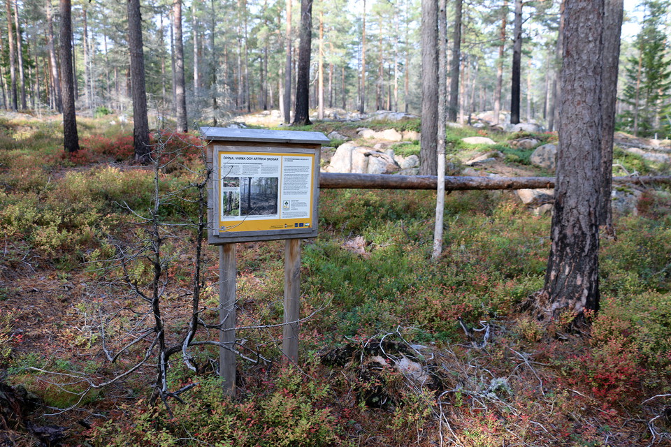 Skylt i landskap med tallar och lingon- och blåbärsris.