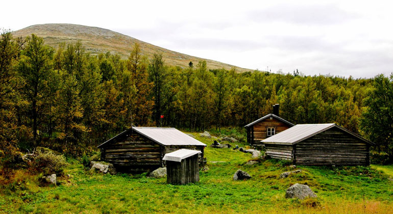 Röskåsen