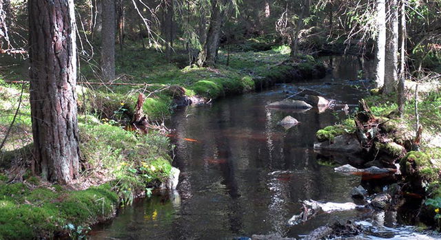 Garpbäcken, Naturreservat