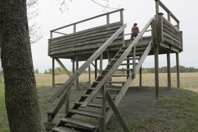 Fågelplattform vid Fladen, Ledskär