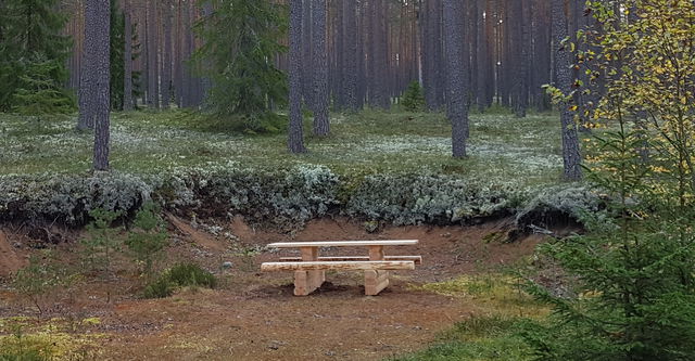 Rastplats, Masteråsen