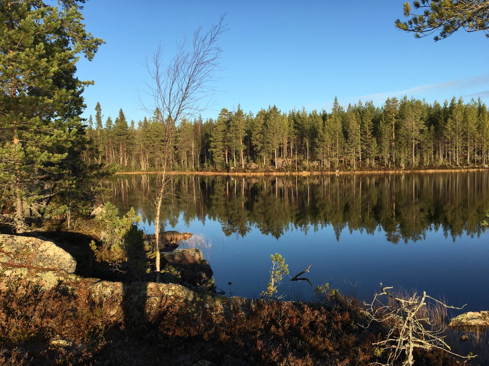 Örvallsjön, foto: Maj-Lis Wikström