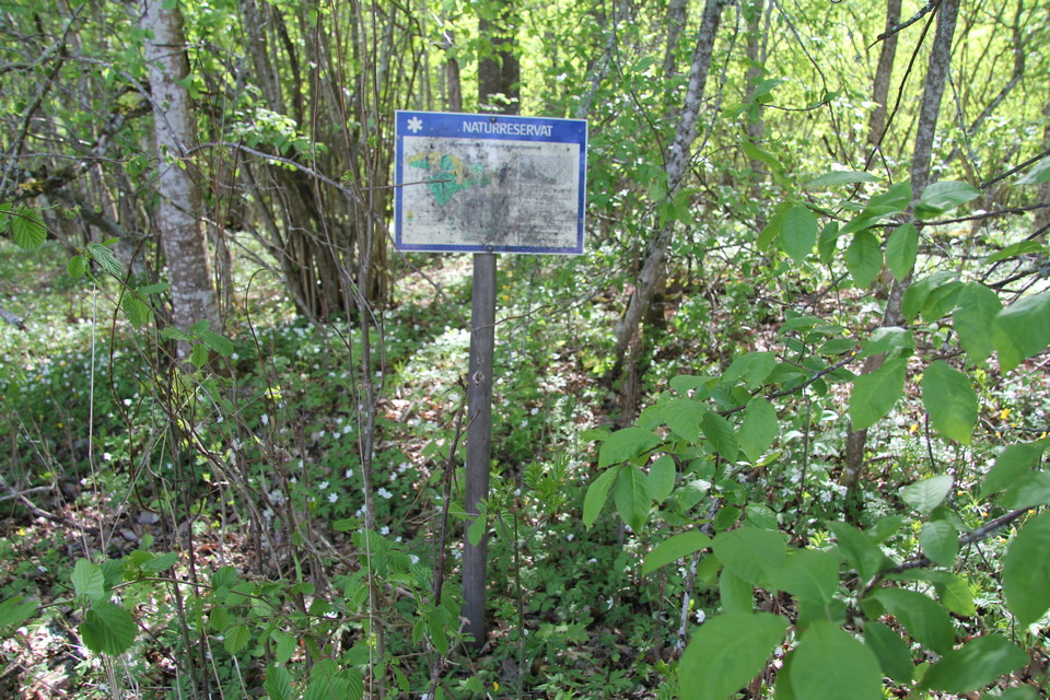 Informationstavla över naturreservatet.