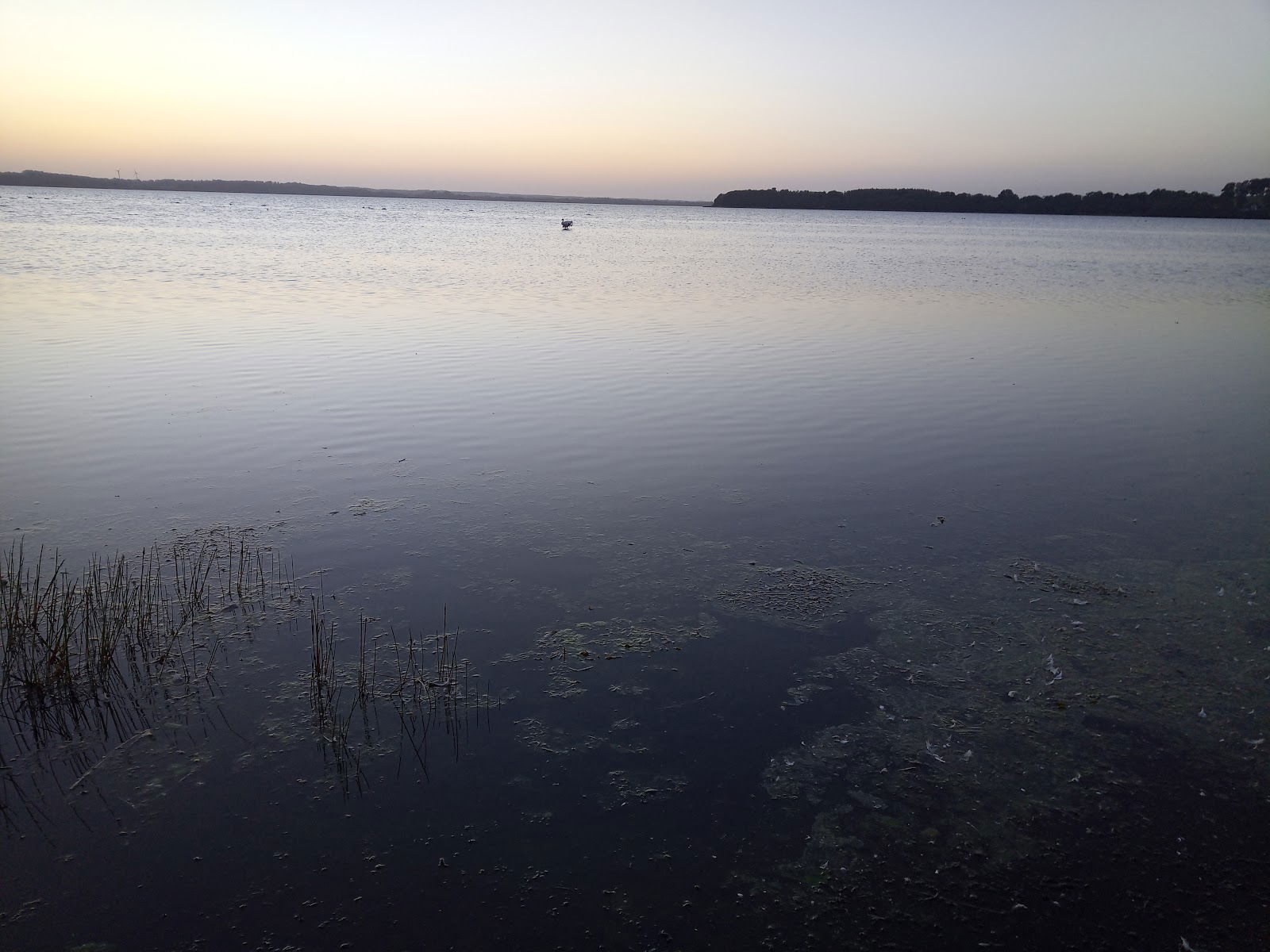 Badplats, Västra Bosjöklosterhalvön, Höör