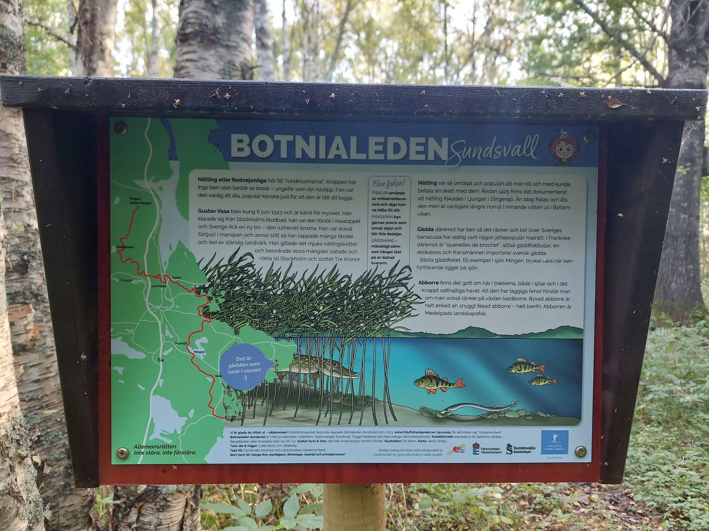 Information om Mingen