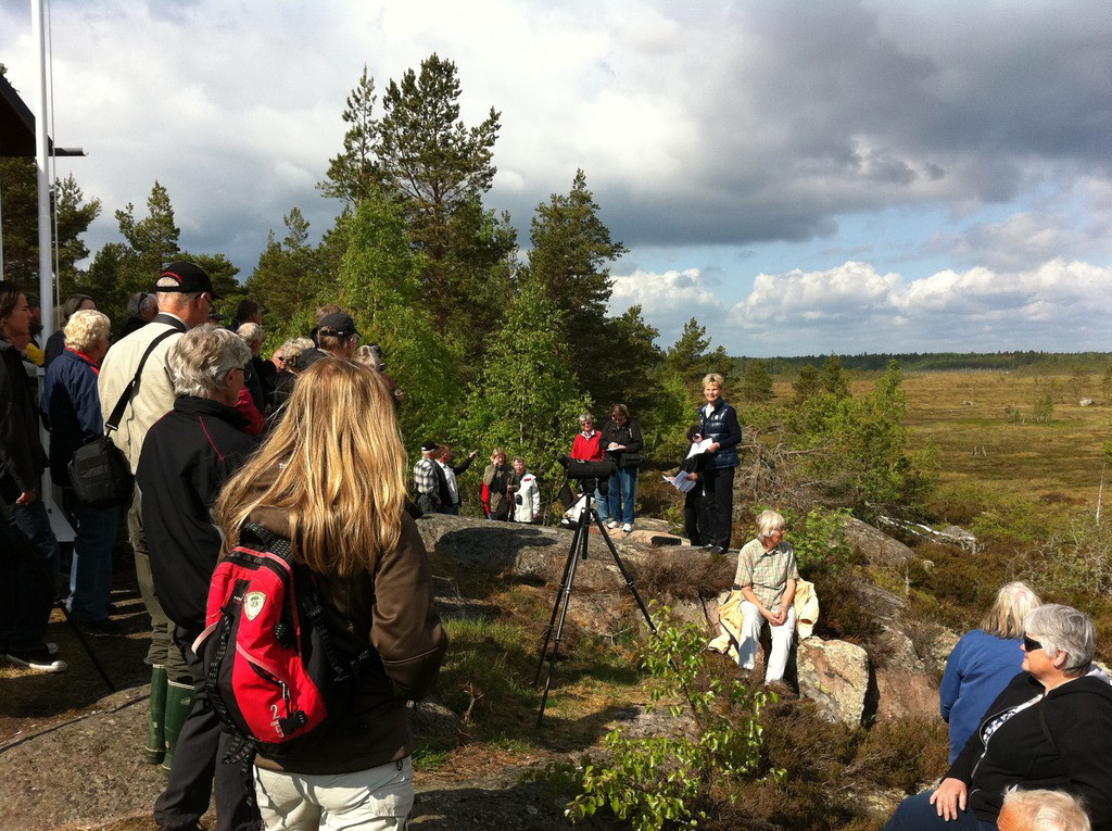 Kärnskogsmossens naturreservat