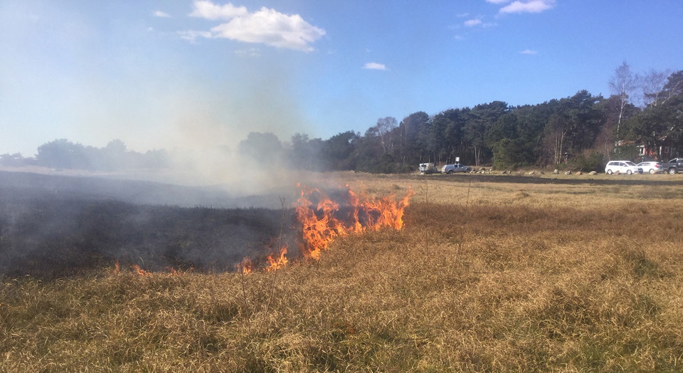 Bränning av ris och gräs för en blomrik sommar.