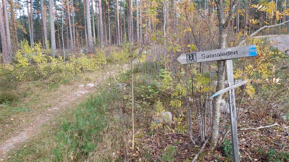 Här viker Sannaleden in i skogen och går längs skogsstigar tillbaka till Stenegård. 