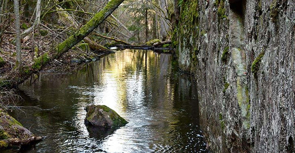 Humlehögsravinen. 
Etapp: Misterfall-Kisa. 
Kinda