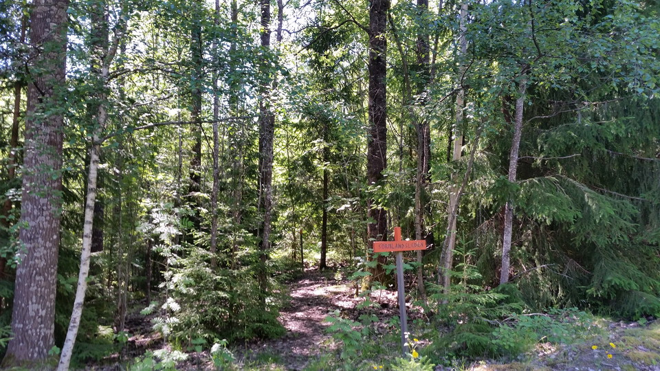 Bild på sörmlandsledens stig