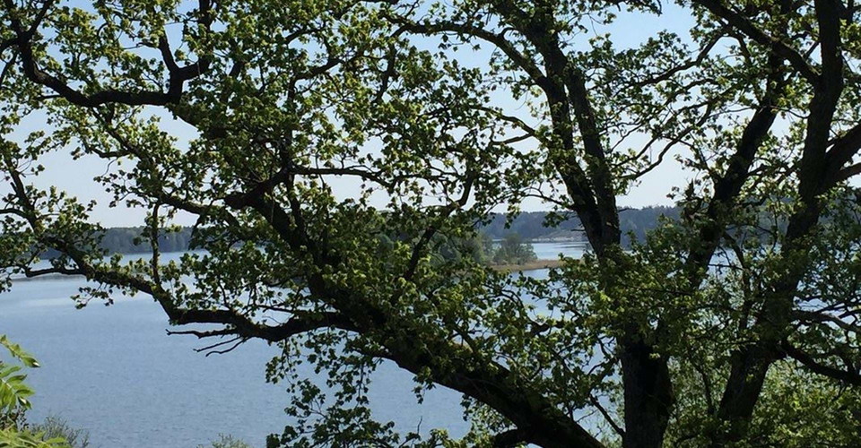 Slätbaken, Söderköping