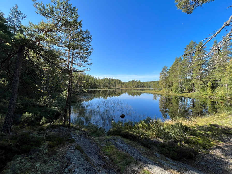 Stora Djurlången