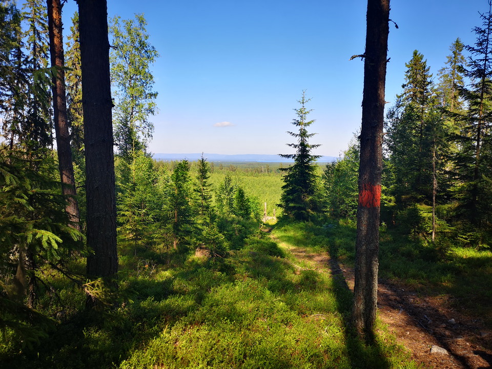 Sellbergsvallen - Karlsbruket, utsikt över Dellenbygden