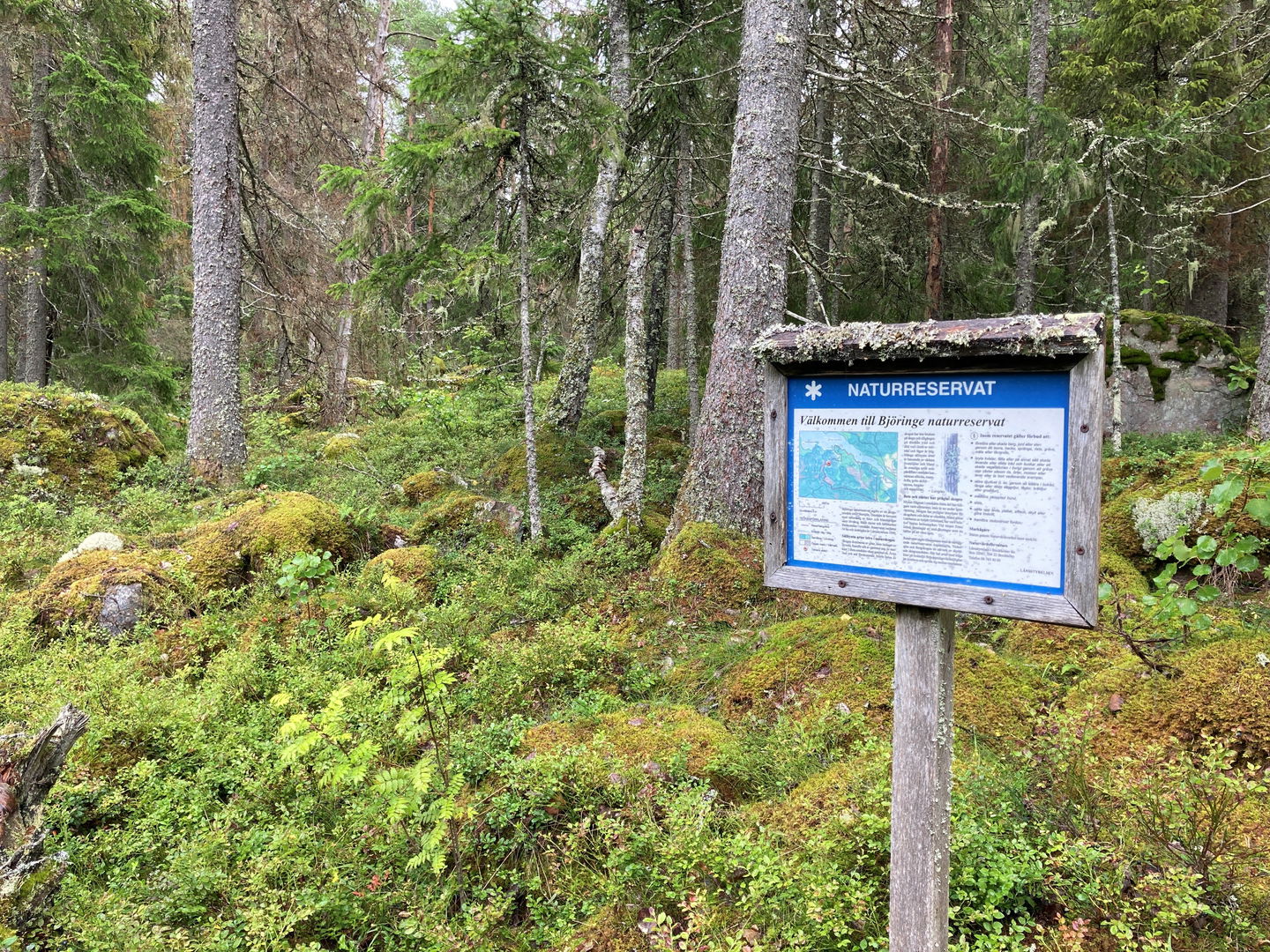 Björinge naturreservat