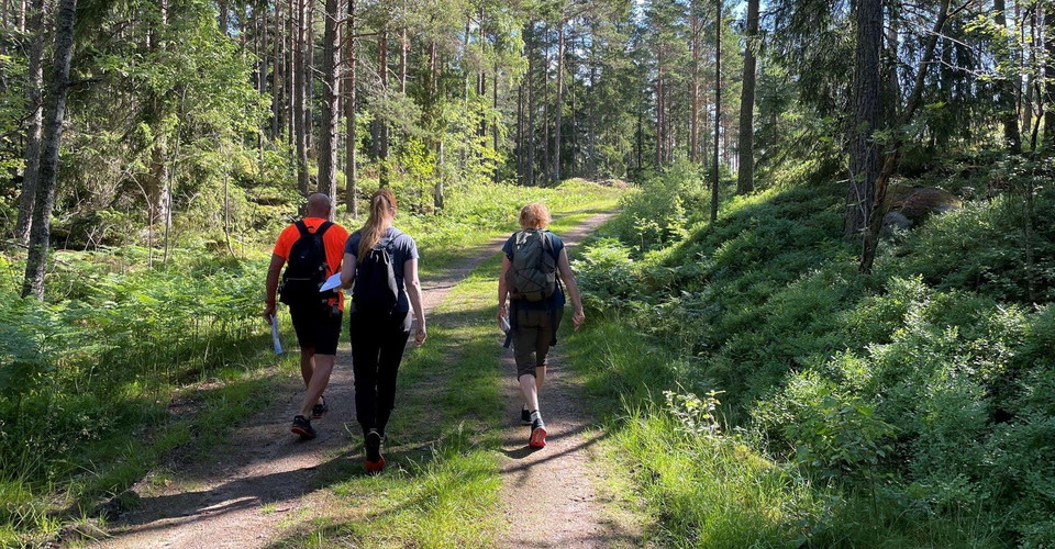 Skogsväg vid N Granstop
Glotternskogen
Etapp: H-tallen Rundslinga
Norrköping