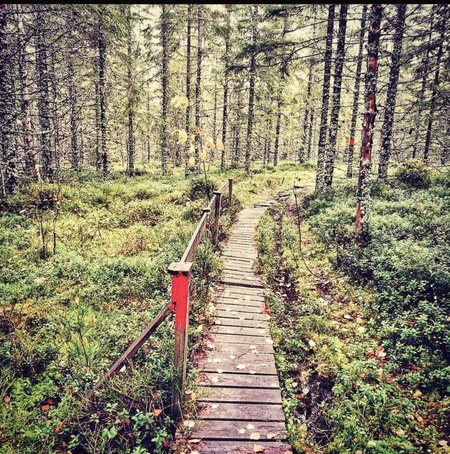 Värmlandsgården_vandring