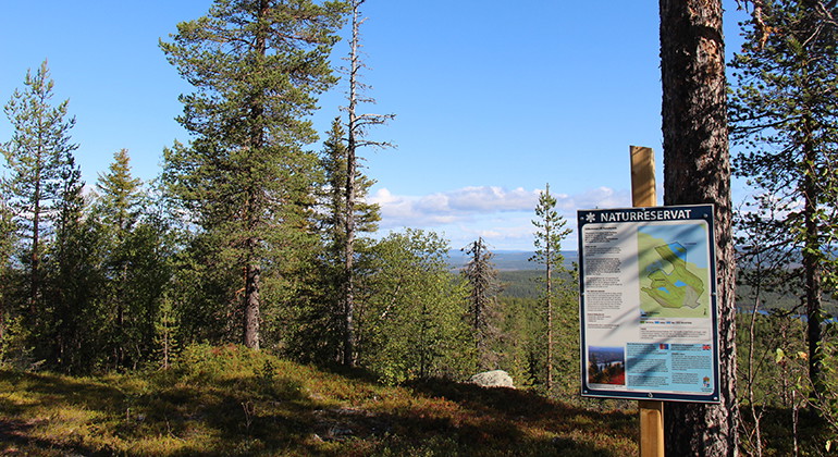 Utsikt från Ruotevare.