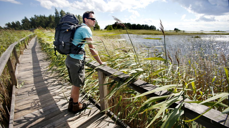 Borgvik Skutberget