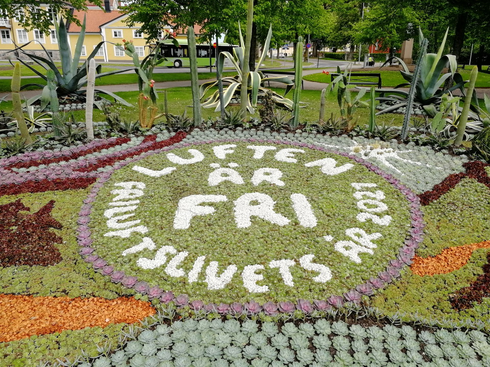 Kaktusgruppen i Linnéparken