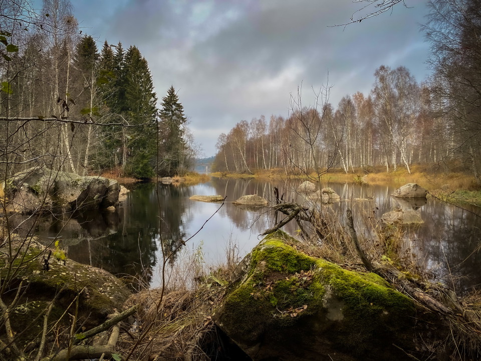 Dalälven intill rastplats.