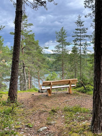 Bänk Skogsö